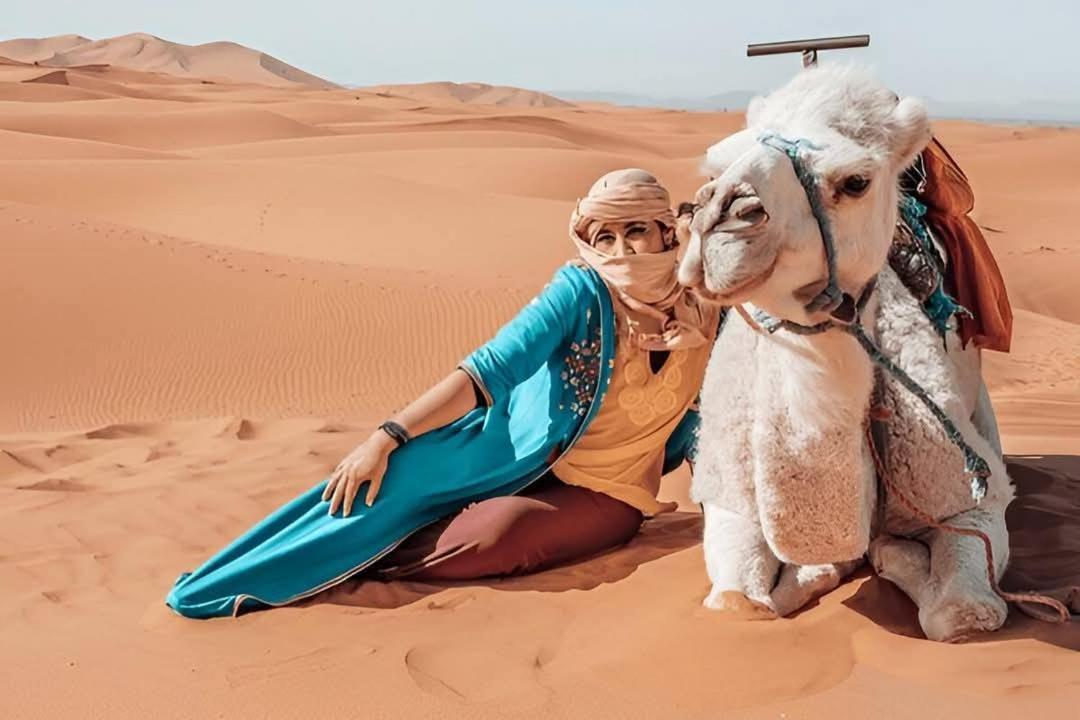 Desert Camel Trek Merzouga Bagian luar foto